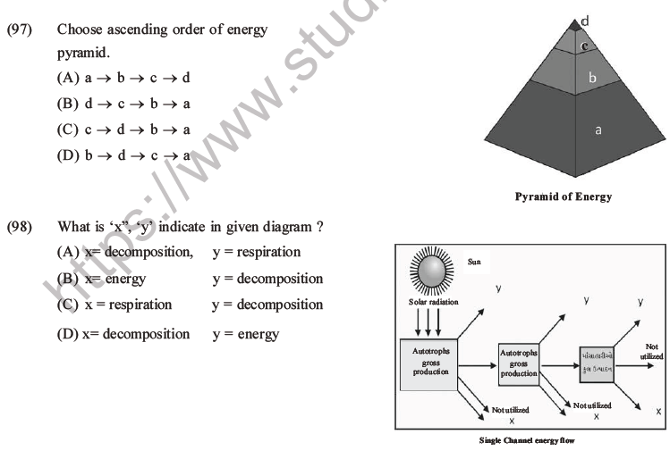 NEET Biology Ecosystem MCQs Set B, Multiple Choice Questions